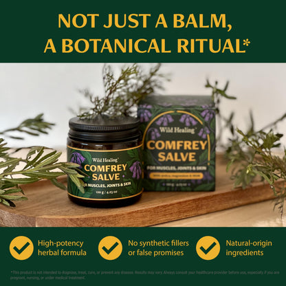 Wild Healing Comfrey Salve – Concentrated Herbal Balm with Arnica, Magnesium & MSM – Soothing Botanical Cream for Joints, Muscles & Dry Skin – 4.23 oz Wild HealingBuy Supplements Australia