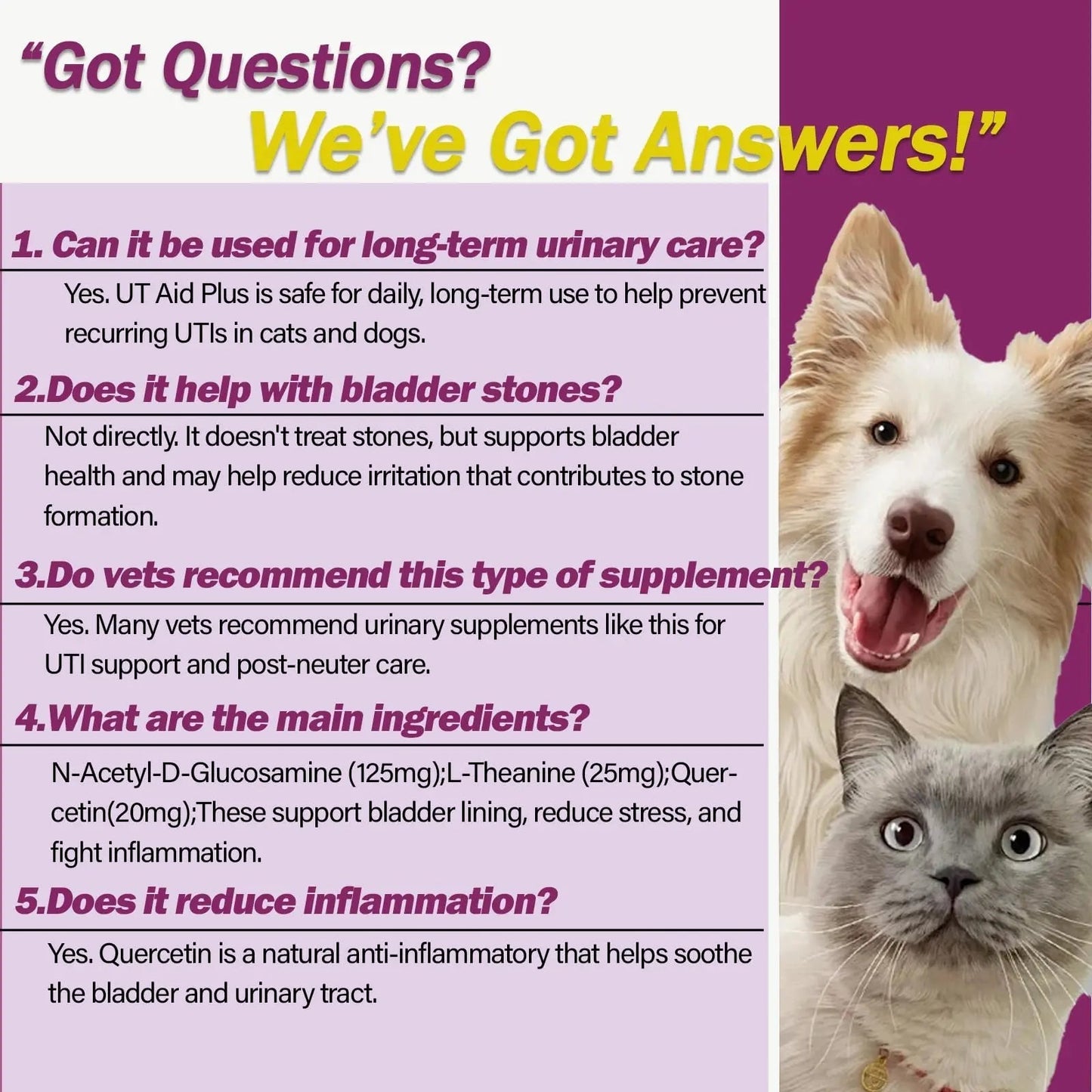 NUTRIARISE Natural UTI Treatment for Cats & Dogs – Antibiotic-Free Urinary Tract Infection Support Supplement – Bladder & Kidney Health – Incontinence Prevention – 30 Capsules NUTRIARISEBuy Supplements Australia