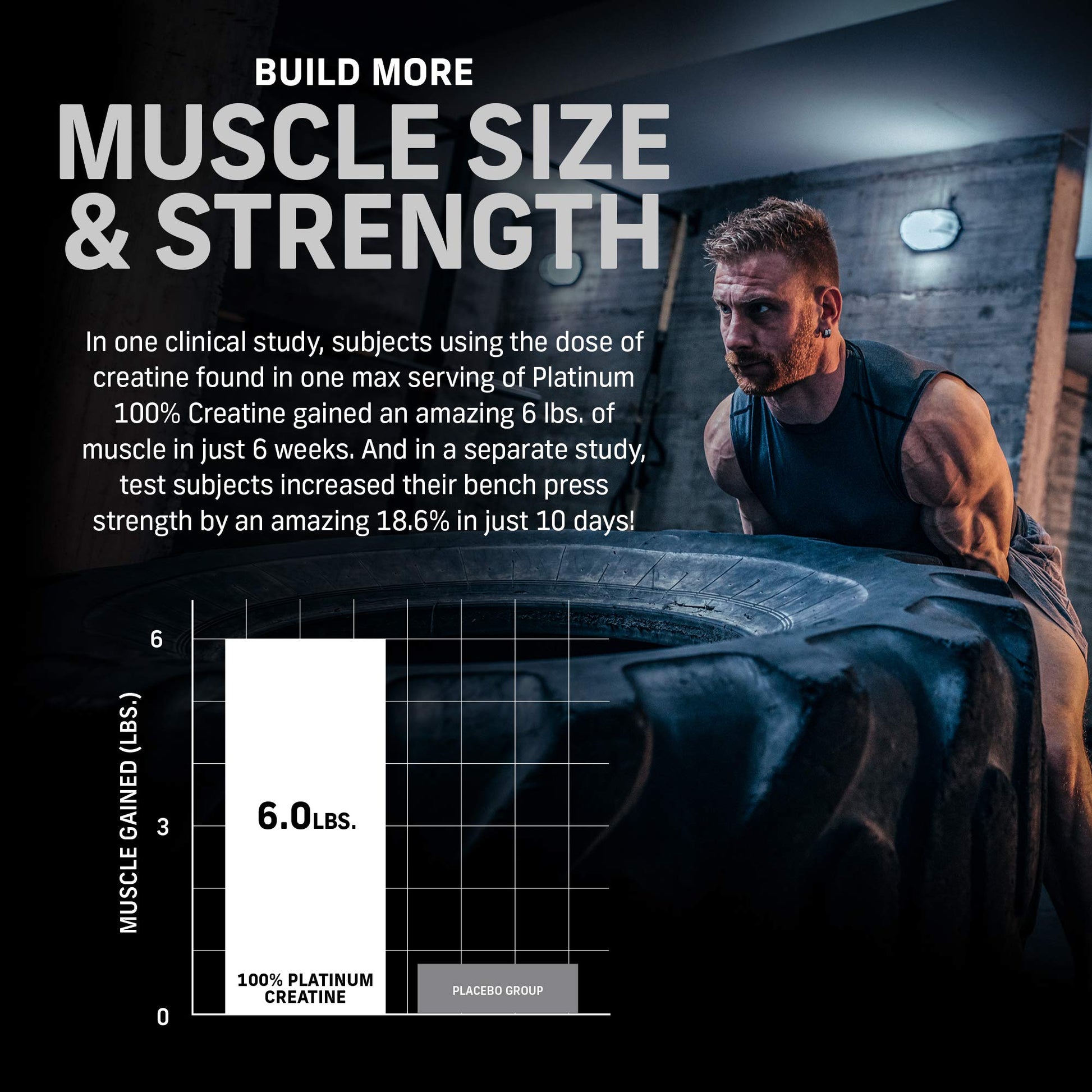 Muscletech Whey Protein Powder Phase8 Protein Powder & nohydrate Powder Platinum MuscletechBuy Supplements Australia