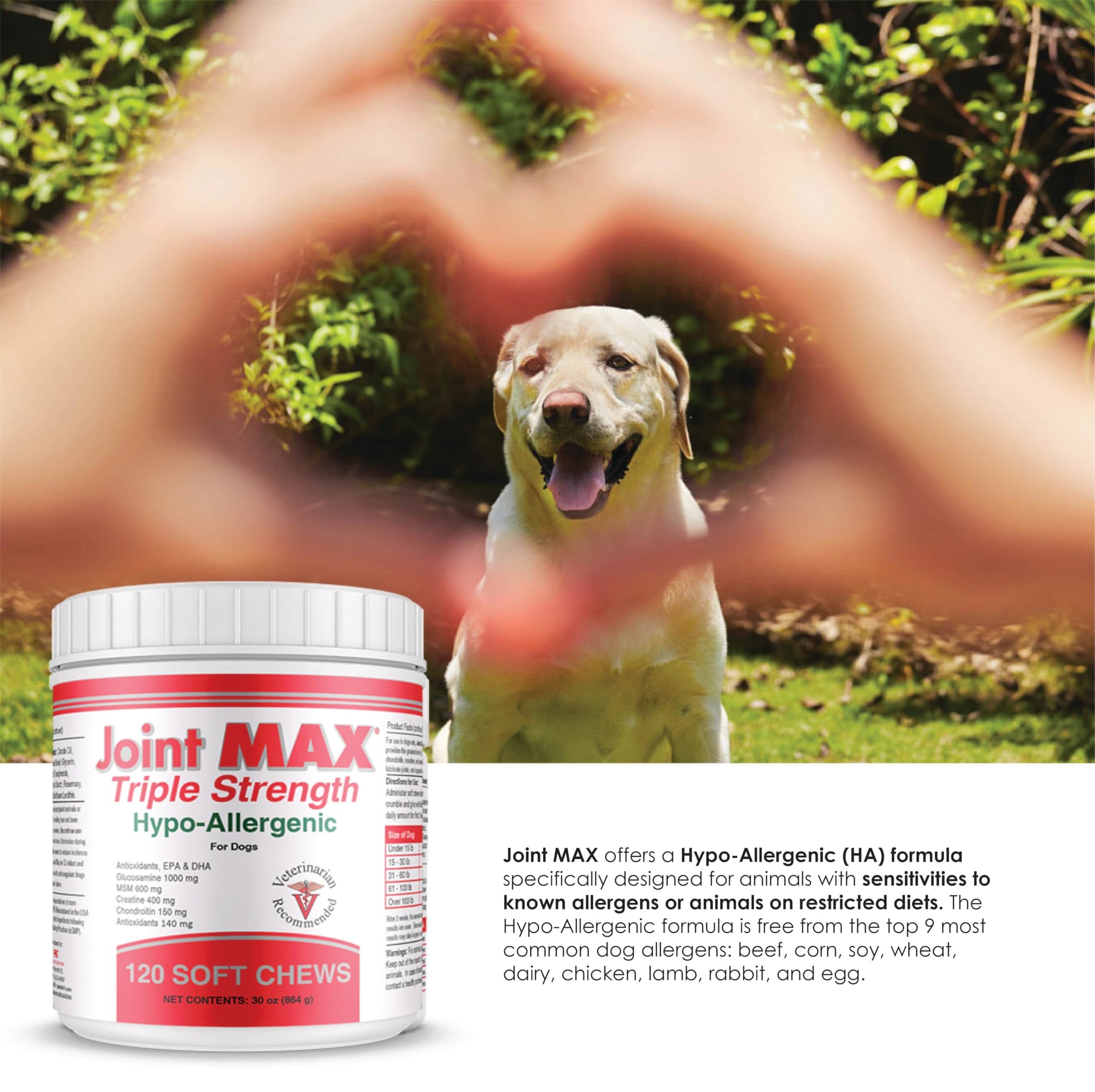 Joint MAX Triple Strength Hypo-Allergenic Soft Chews for Dogs - Hip and Joint Support Supplement with Glucosamine, Chondroitin, & MSM - Made in The USA - 120 Soft Chews Joint MaxBuy Supplements Australia