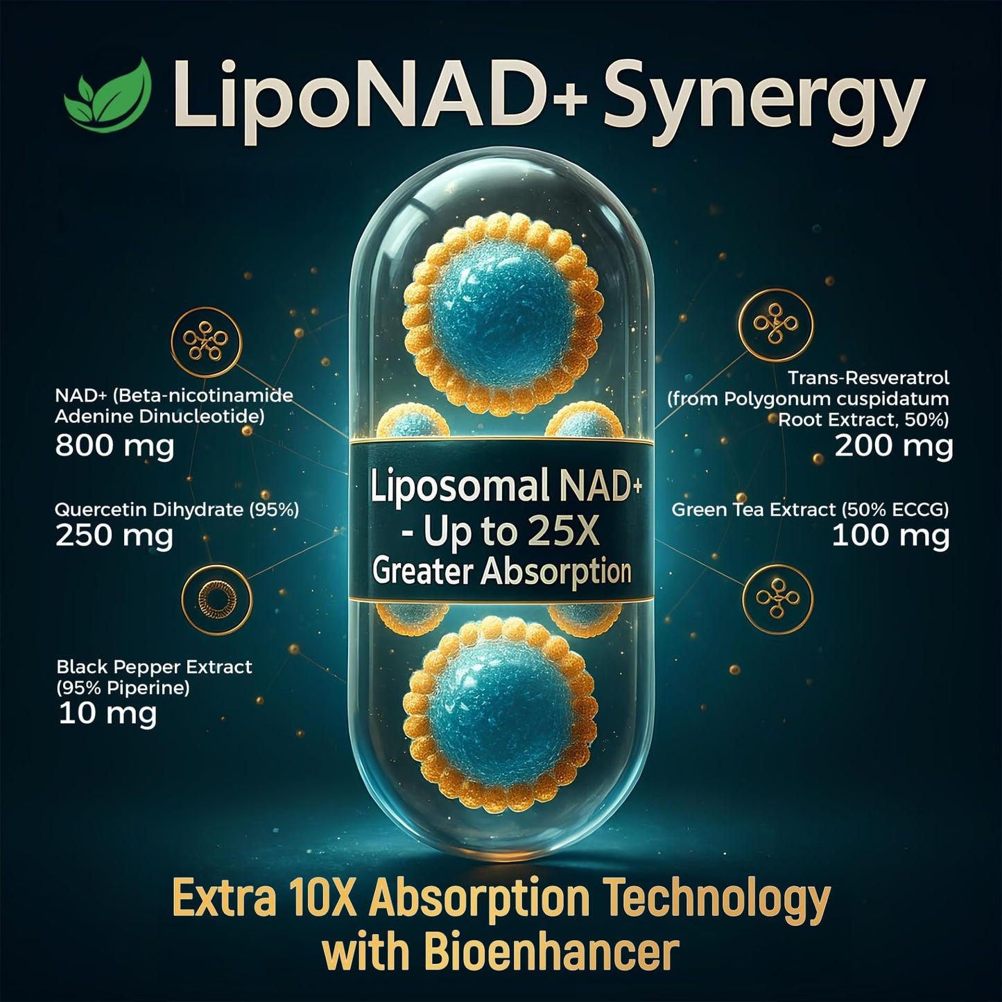 NAD+ Supplement, 1,360mg Max Strength Liposomal | Resveratrol, Quercetin, Green Tea | Cellular Energy & Healthy Aging for Men & Women | 800mg of 100% High Purity NAD+ for Energy, Focus - 90 Capsules HolistnatureBuy Supplements Australia