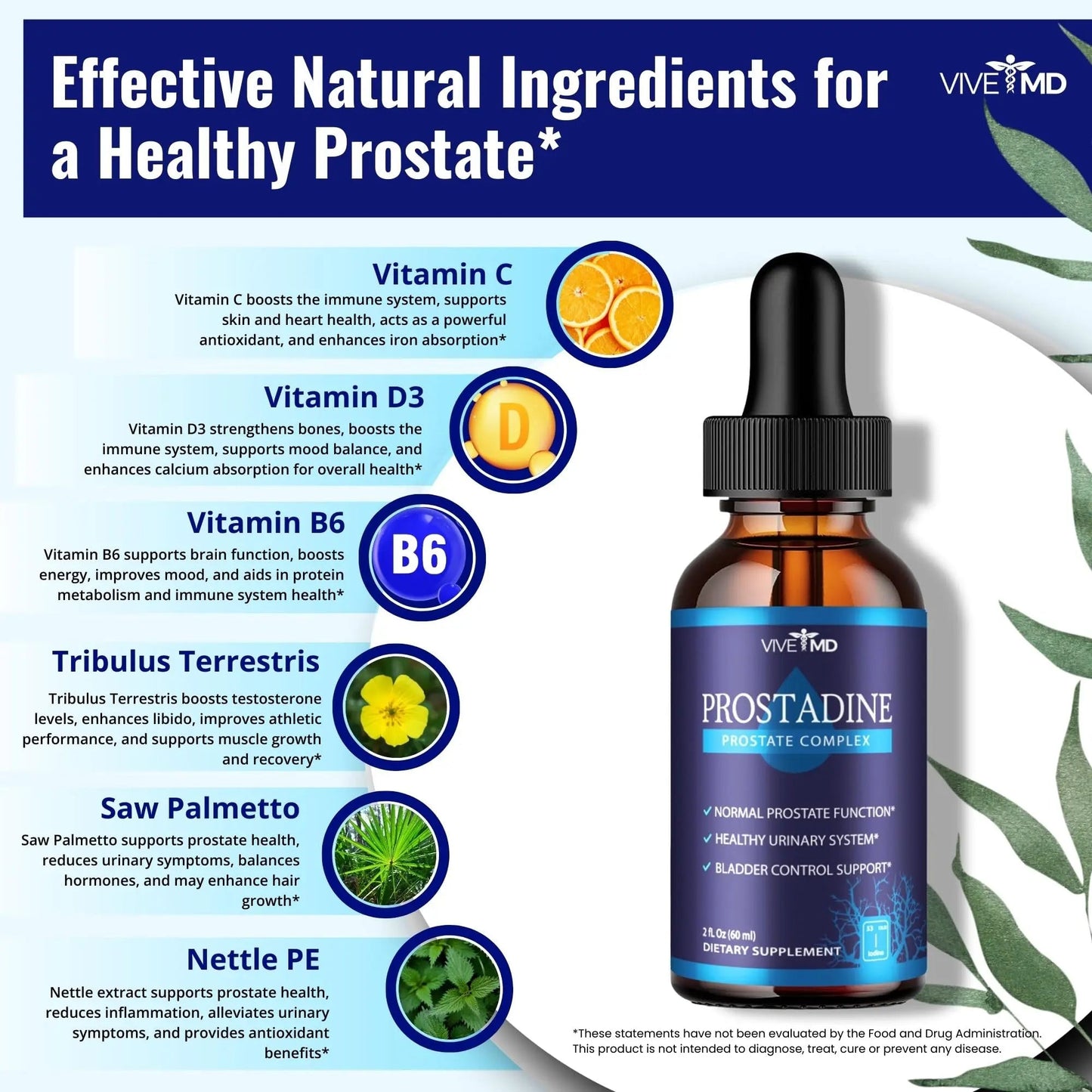 VIVE MD Prostadine Drops for Prostate Health, Bladder Urinating Issues - Prostadine Official Drop Formula - Extra Strength with Pomegranate, Prostadine Reviews (Package of 1) VIVE MDBuy Supplements Australia