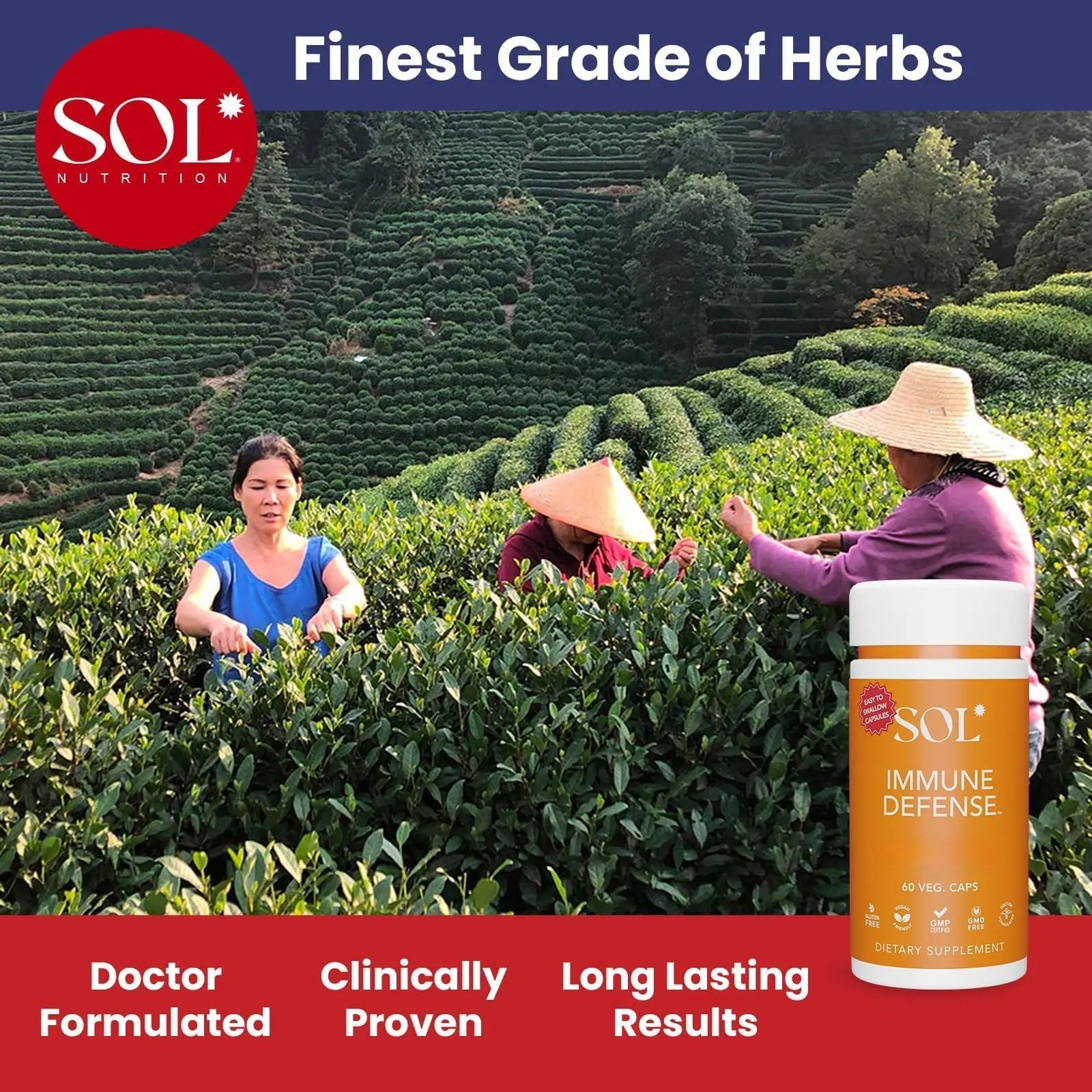 Immune Defense Supplement: Clears Allergens, Builds Strong Immune System, 15X More Powerful, Astragalus, Goto Kola, Andrographis Sol NutritionBuy Supplements Australia