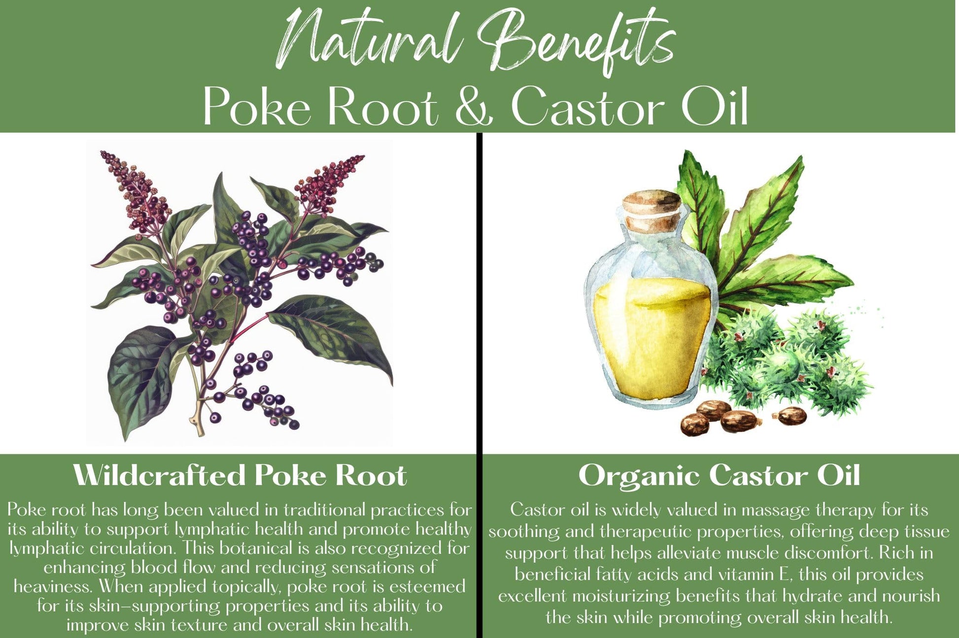 Organic Poke Root & Castor Oil Salve | Vegan Lymphatic Support | Enriched with Essential Oils | Cysts, Boils, Fibroids, Swollen Lymph Nodes, Breast & Joint (1oz, Frankincense) Living FarmsBuy Supplements Australia