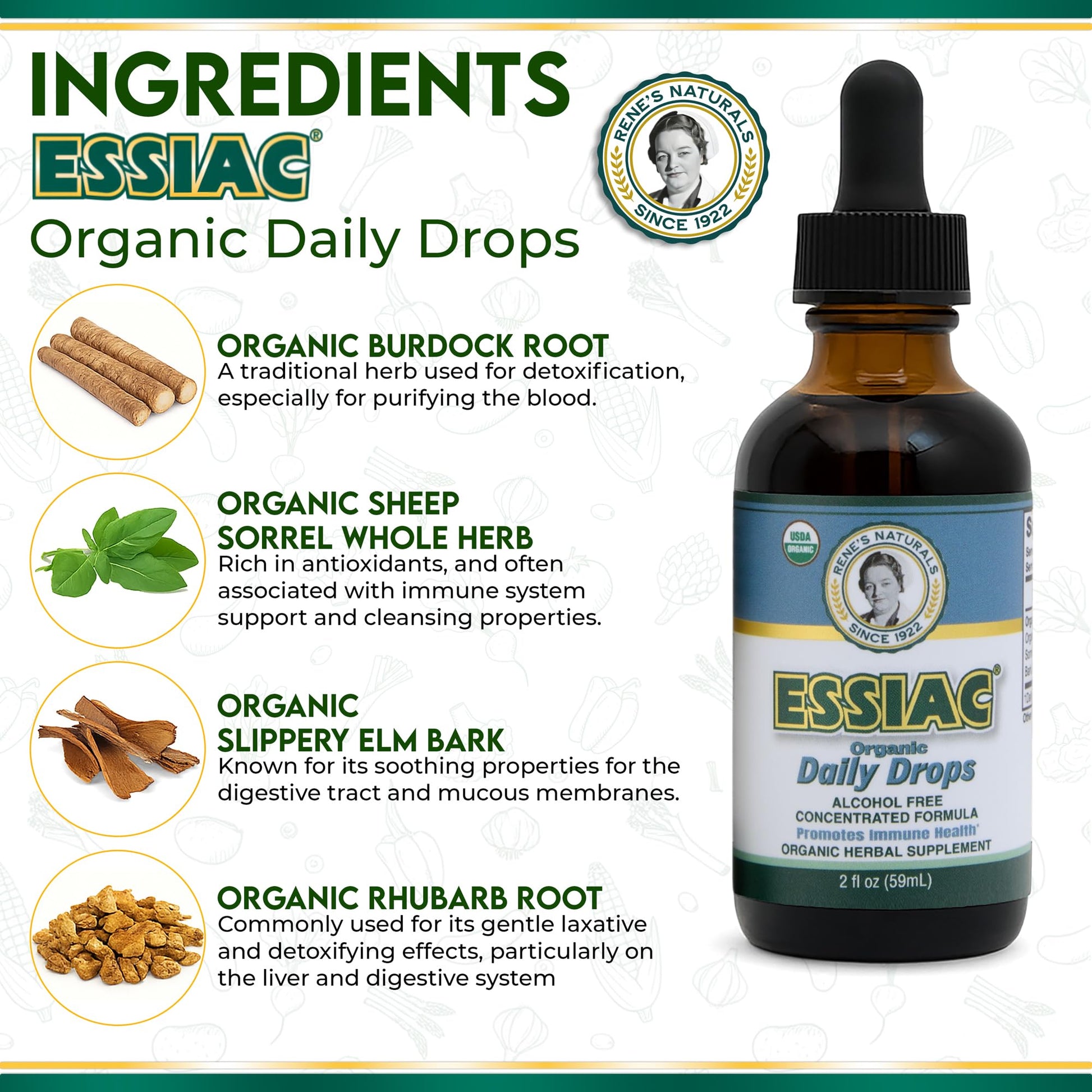 Essiac Original Tea USDA Organic Daily Drops for Enhanced Lymphatic Drainage and Immune Support | Alcohol Free Concentrated Formula | 2oz (59ml) EssiacBuy Supplements Australia