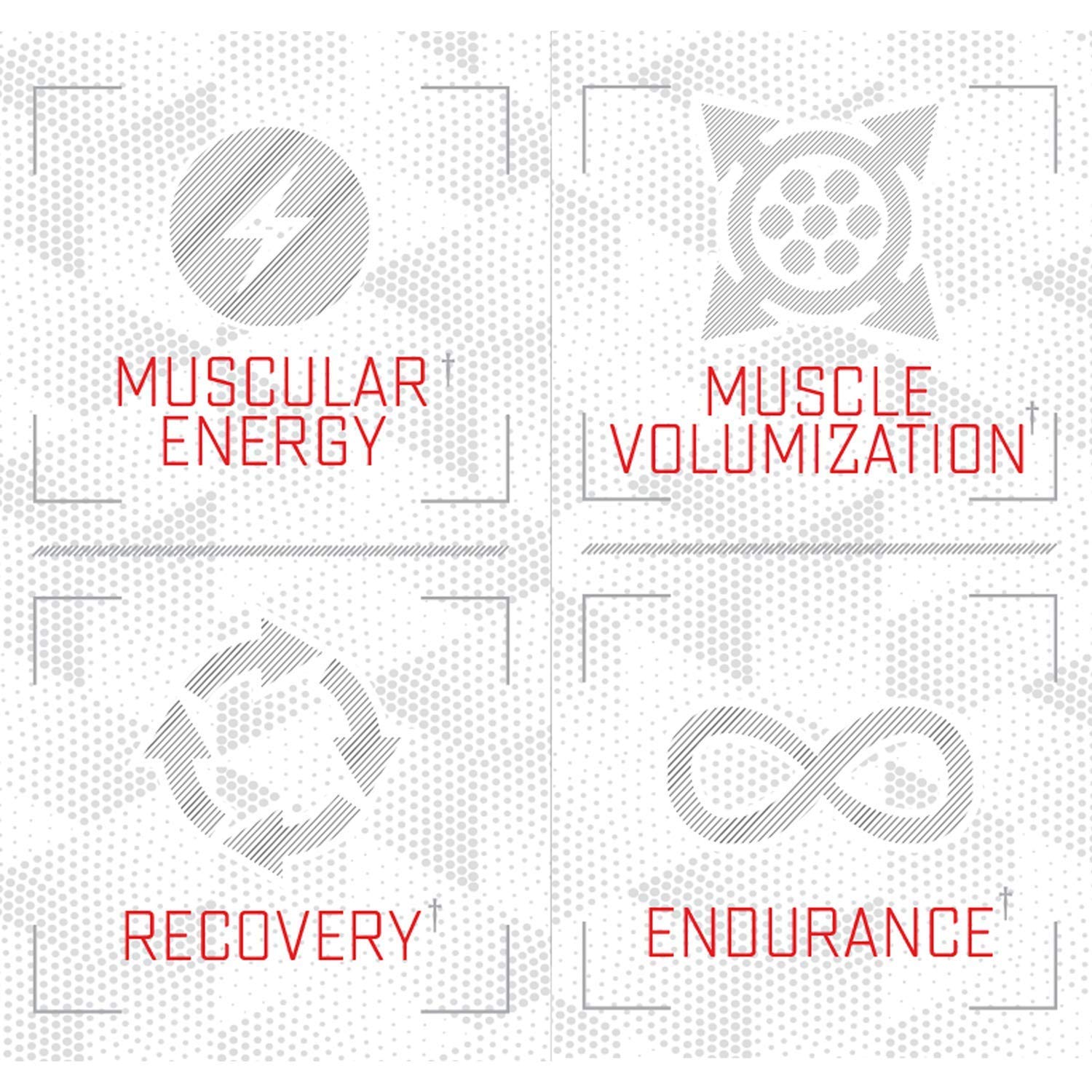 Purus Labs Foundation Series Citrulline Malate Powder | Active Amino Acid L-Citrulline | Strength, Volume, & Recovery | 100 Servings (Unflavored)