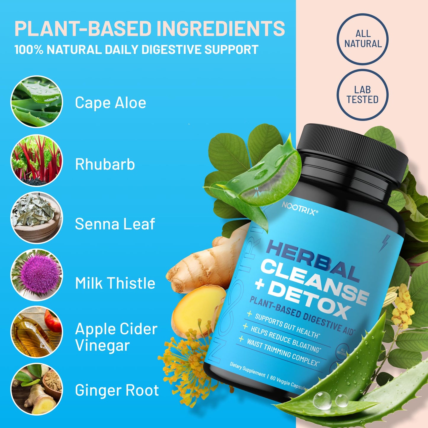 Nootrix Herbal Cleanse + Detox Cleanse for Weight Loss Products | 15 Day Gut Cleanse NootrixBuy Supplements Australia