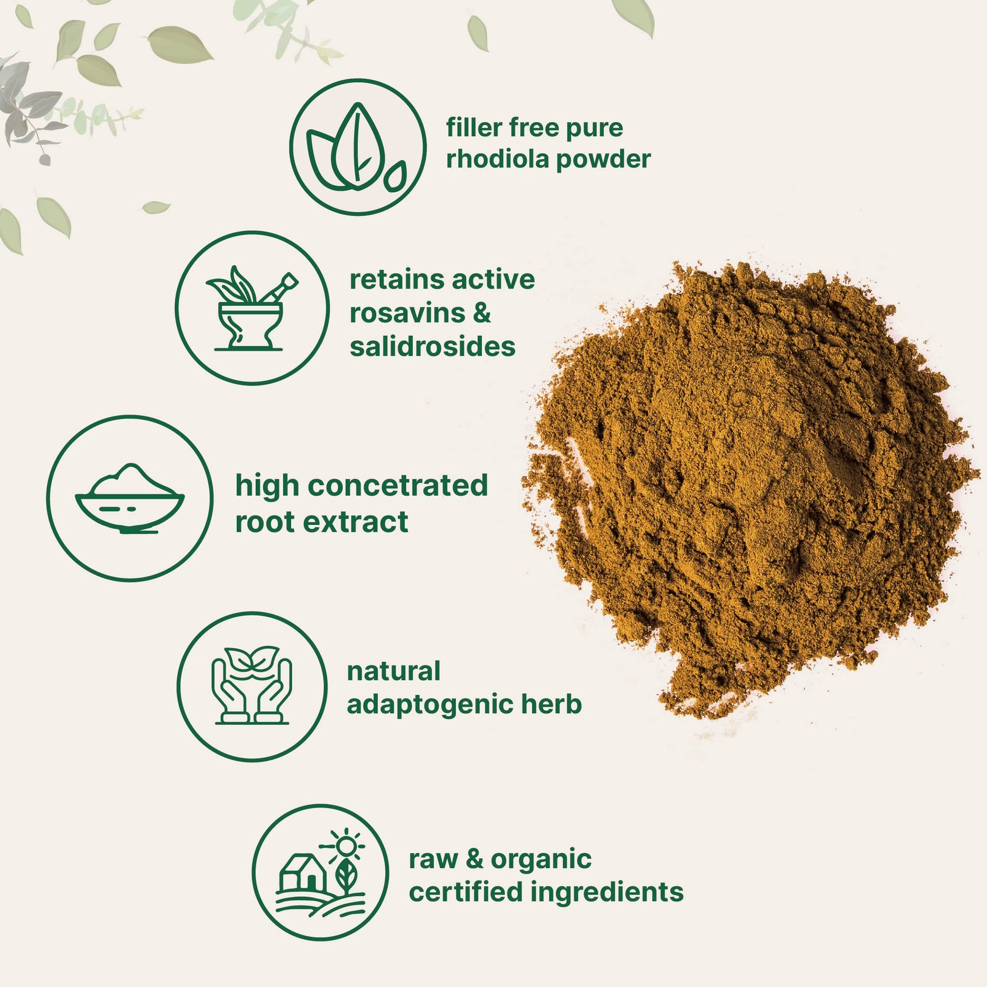 Micro Ingredients Organic Rhodiola Rosea Root Extract, 50g Powder | Adaptogenic Herb Micro IngredientsBuy Supplements Australia