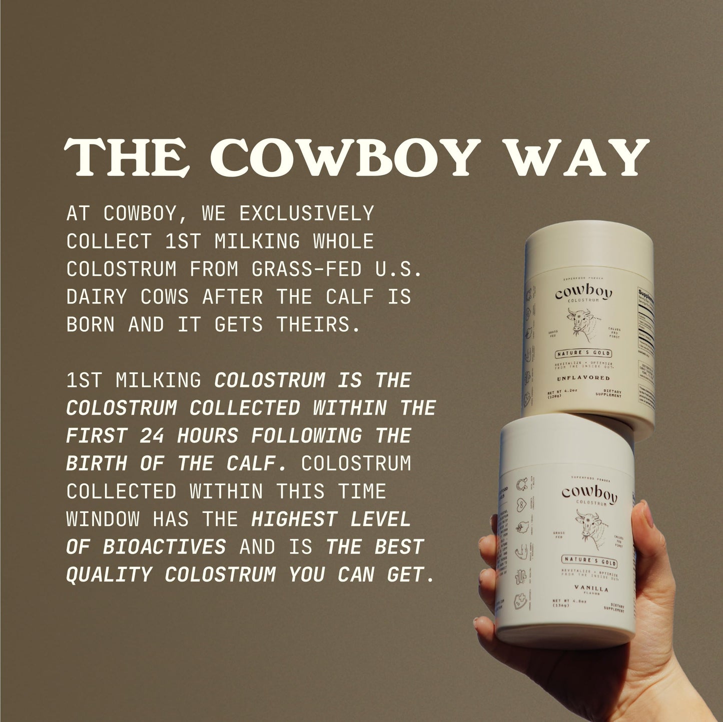 COWBOY COLOSTRUM Powder Travel Packs - Bovine Colostrum Powder - First Day Milking Whole Colostrum - Grass Fed Colostrum Supplement for Gut Health, Immunity, Skin & Hair (Unflavored, 30 Servings) COWBOY COLOSTRUMBuy Supplements Australia