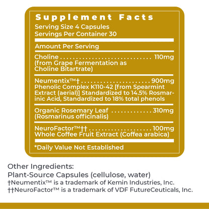 Premier Research Labs Cognitropic -  Supplements for Memory and Focus, Focus Supplement, Brain and Memory Power Boost, Clarity Vitamins