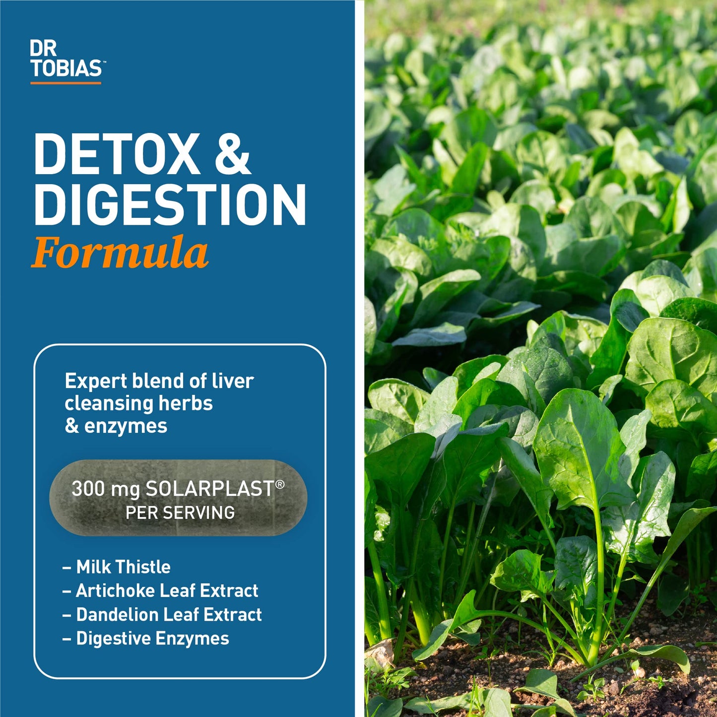 Dr. Tobias Liver 21 Day Cleanse, Herbal Liver Detox Cleanse with Solarplast, Artichoke Extra Dr. TobiasBuy Supplements Australia