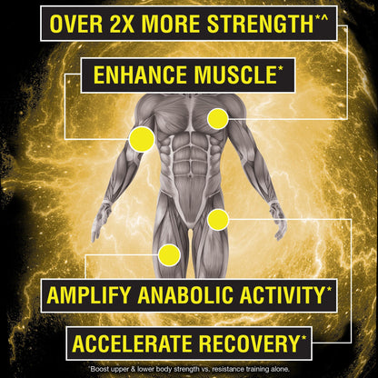 Nugenix Catalyst - Enhanced Muscle Builder and Muscle Recovery, Train Harder, Increase NugenixBuy Supplements Australia
