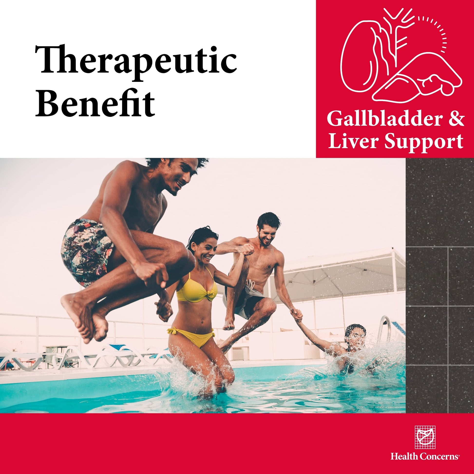 Health Concerns GB-6 – Gallbladder Support Supplement – Chuan Lian Zi Herbal Formula – Natural Gallstone Support – Bupleurum, Turmeric, Dandelion Root Extracts– Chinese Herbal Capsules – 90 Capsules Health ConcernsBuy Supplements Australia