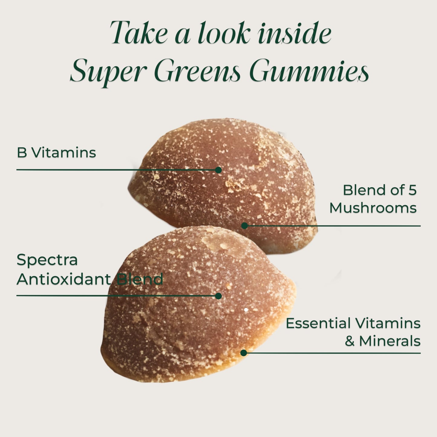 Primal Harvest Super Greens Gummies, Superfood Blend with Adaptogenic Mushrooms Vitamins & Nutrient-Rich Minerals & Antioxidants for Energy & Immune Support 1 Pack 60 Count, Primal HarvestBuy Supplements Australia
