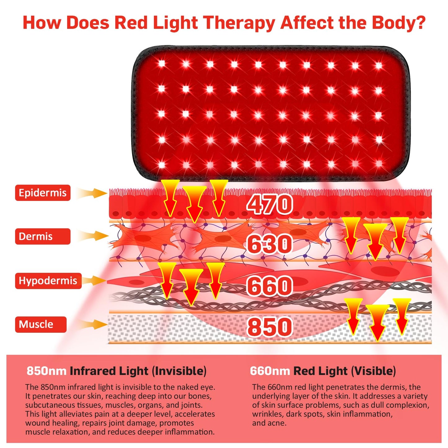 Red Light Therapy Belt, Infrared Light Therapy for Body, Wearable Wrap with Timer GMOWNWBuy Supplements Australia