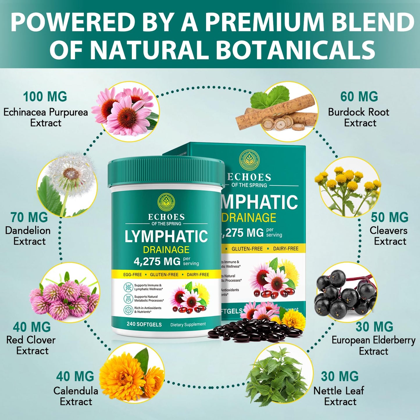Lymphatic Drainage Supplements, 4275mg Lymph System Support Supplement for Women & Men, Daily Wellness Support, 21-in-1 Herbal Blend with Echinacea, Dandelion, Burdock, Turmeric & More, 240 Softgels Echoes of the springBuy Supplements Australia