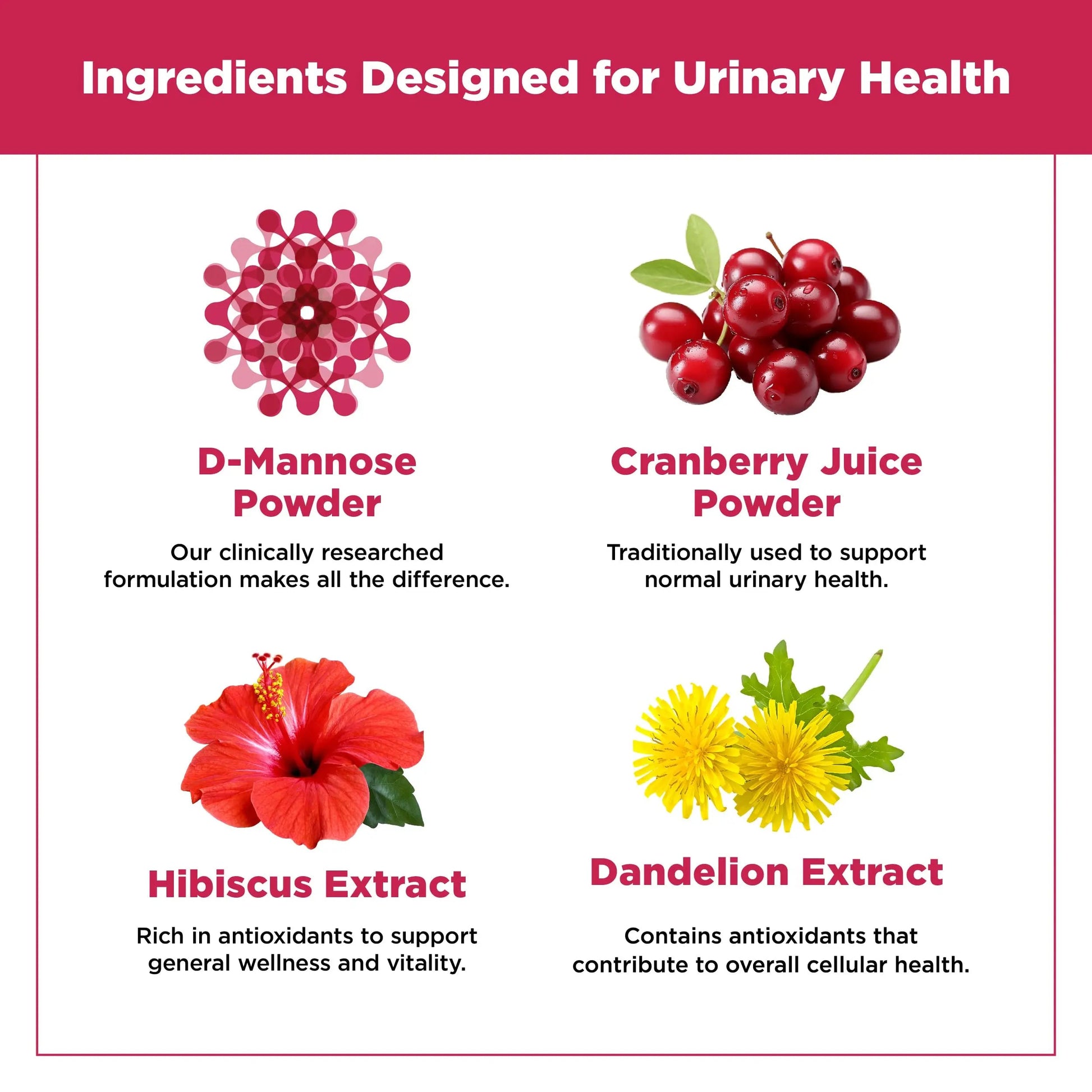 Plantvital D Mannose Capsules with Cranberry - D-mannose 1000mg Capsules - High Potency for Bladder, Kidney and Urinary Tract Support. Cranberry Powder with Hibiscus and Dandelion. 2 Months Supply PlantvitalBuy Supplements Australia