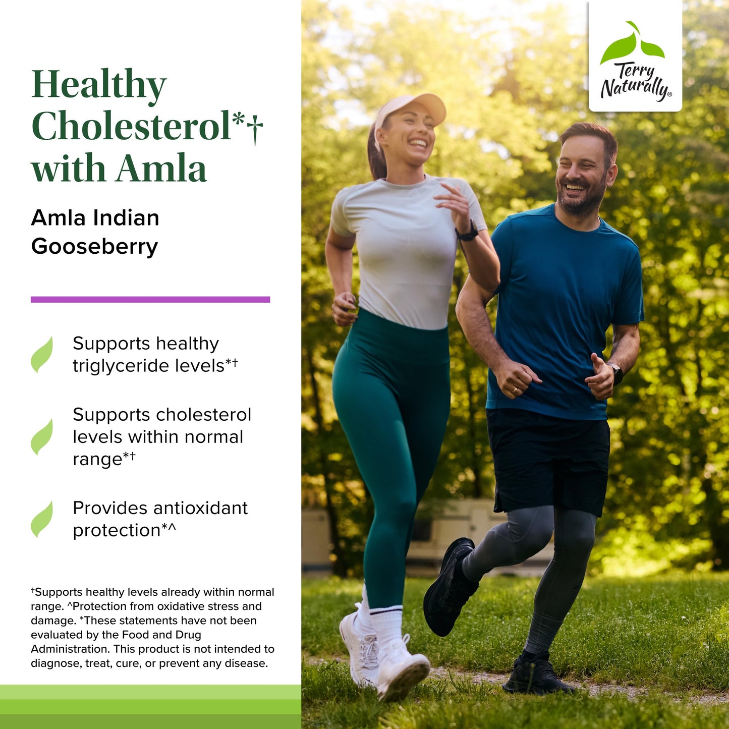 Terry Naturally Healthy Cholesterol with Amla - Antioxidant Supplement for Immune & Heart Support - Supplement to Aid Healthy Cholesterol & Triglyceride - 60 Capsules Terry NaturallyBuy Supplements Australia