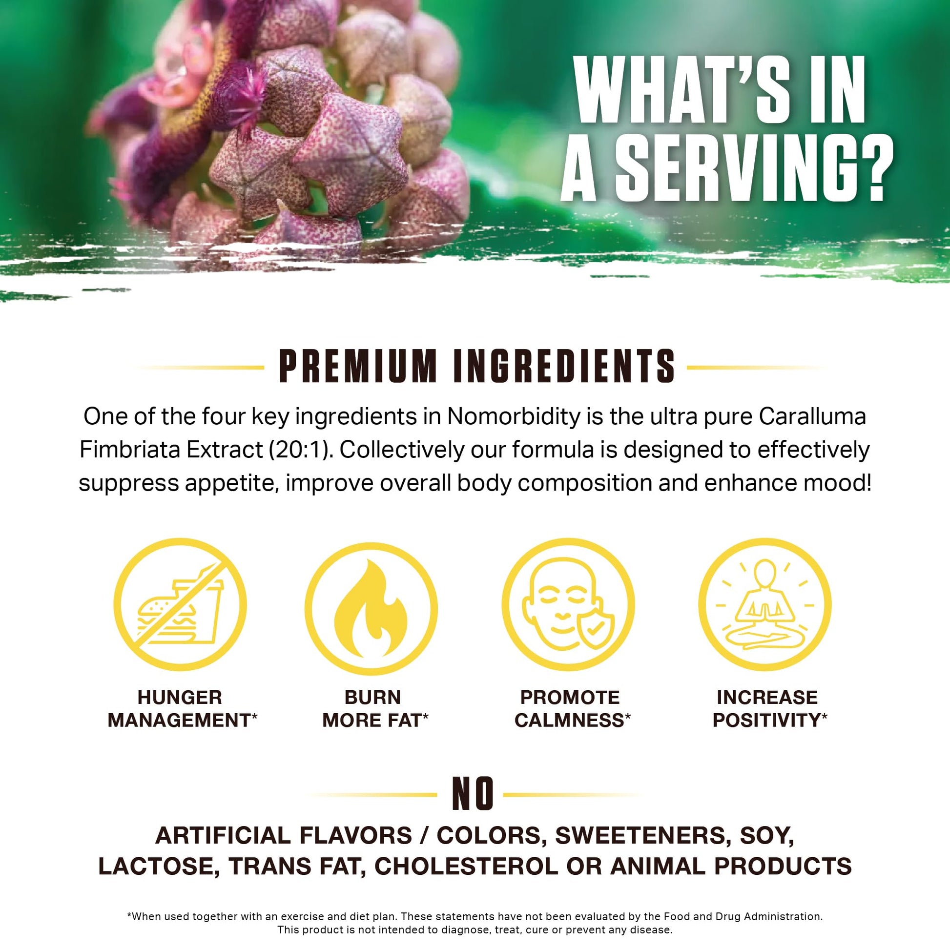 Ambrosia Nomorbidity Advanced Appetite Control & Hunger Management Formula AmbrosiaBuy Supplements Australia