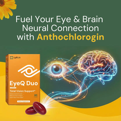 LYTTON EyeQ Duo Digital Eye & Focus Support – Patented Anthochlorogin for Brain-Eye Connection, Promotes Ocular Vitality – Rapid Visual Comfort & Natural Formula for Screen Users, 60 Softgels LYTTONBuy Supplements Australia