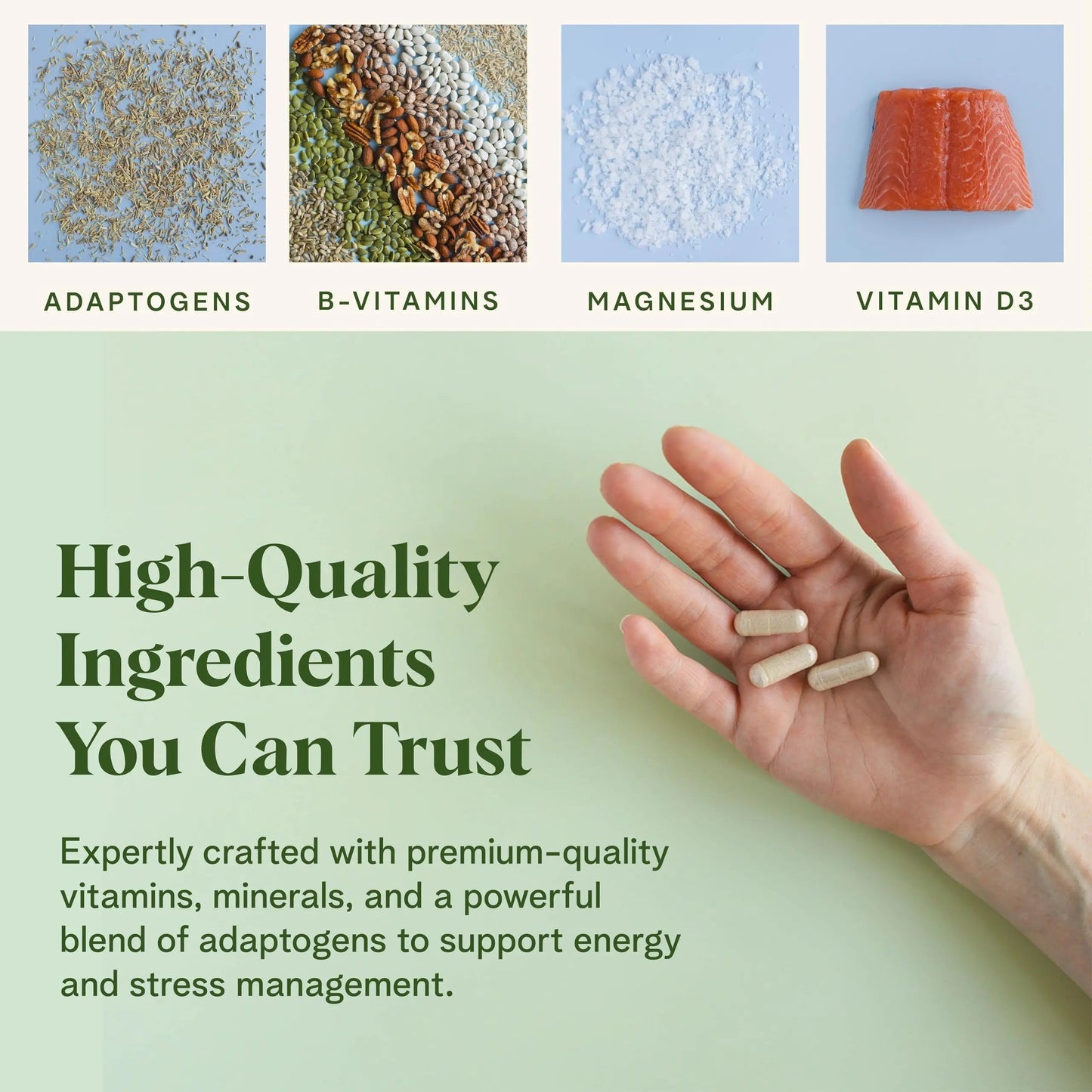 Healthy Response Daily Response Multivitamin 90 Capsules - Multivitamin + Adaptogen Blend for Energy & Stress Support Healthy ResponseBuy Supplements Australia