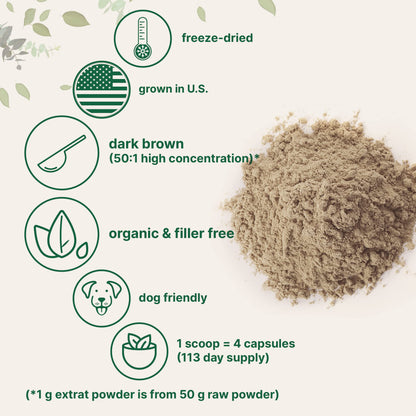 Organic Turkey Tail Mushroom Powder (50:1 Extract), 8 Ounce | Sustainably US Grown Micro IngredientsBuy Supplements Australia