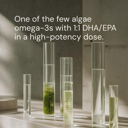 Blueprint Bryan Johnson Omega-3 - Vegan Algae Omega 3 Supplement with EPA/DHA - 800mg Plant-Based for Brain, Heart & Joint Support - High Absorption Triglyceride Form - 1:1 EPA/DHA Blueprint Bryan JohnsonBuy Supplements Australia