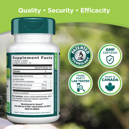 Genacol Optimum – Glucosamine, Chondroitin, MSM and Ultra-Hydrolyzed Collagen Tablets, Maintains Healthy Joints, Protects & Lubricate Cartilage, 90 Tablets (30-Day Supply) GenacolBuy Supplements Australia