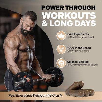 Essencraft Atlas X Testosterone Supplement for Men – 10-in-1 Natural Testosterone Booster & Muscle Booster w/Shilajit, Zinc, Tongkat Ali, & More (120 Capsules) EssencraftBuy Supplements Australia
