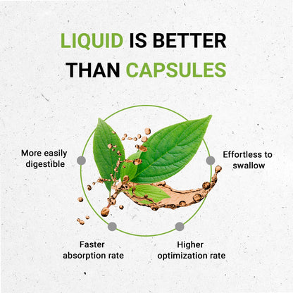 Secrets of the Tribe Cryptolepis Tincture Alcohol-Free Extract, High-Potency Herbal Drops Secrets of the TribeBuy Supplements Australia