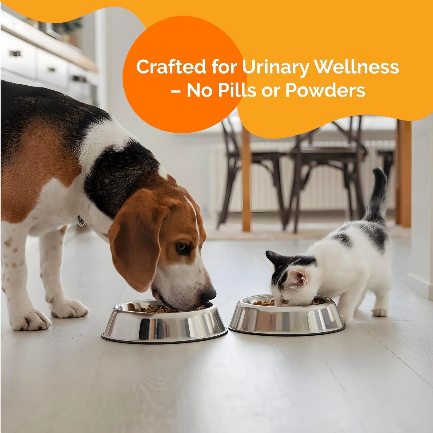PureCat Urinary Tract Infection Care for Cat & Dog | Calming Urinary Tract & Kidney Support for Pets | Bladder Infection Treatment | UTI Drops | Veterinarian Recommended PureCatBuy Supplements Australia