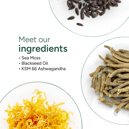 ROOT LABS Sea Moss Gummies I 92+ Minerals I Black Seed Oil I KSM 66 Ashwagandha I Lab Tested I No Added Sugar | for Men, Women I Non-GMO I 100% Natural & Organic I 1600 mg I 120 Gummy ROOT LABSBuy Supplements Australia