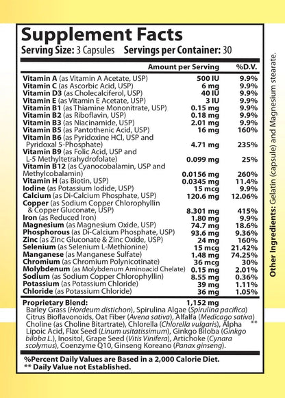 Vitamin Complex Multivitamins and Multiminerals - 12 Vitamins and 14 Minerals, Vitamin A C D3 E B1 B2 B3 B5 B6 B9 B12 H and Minerals Main Products