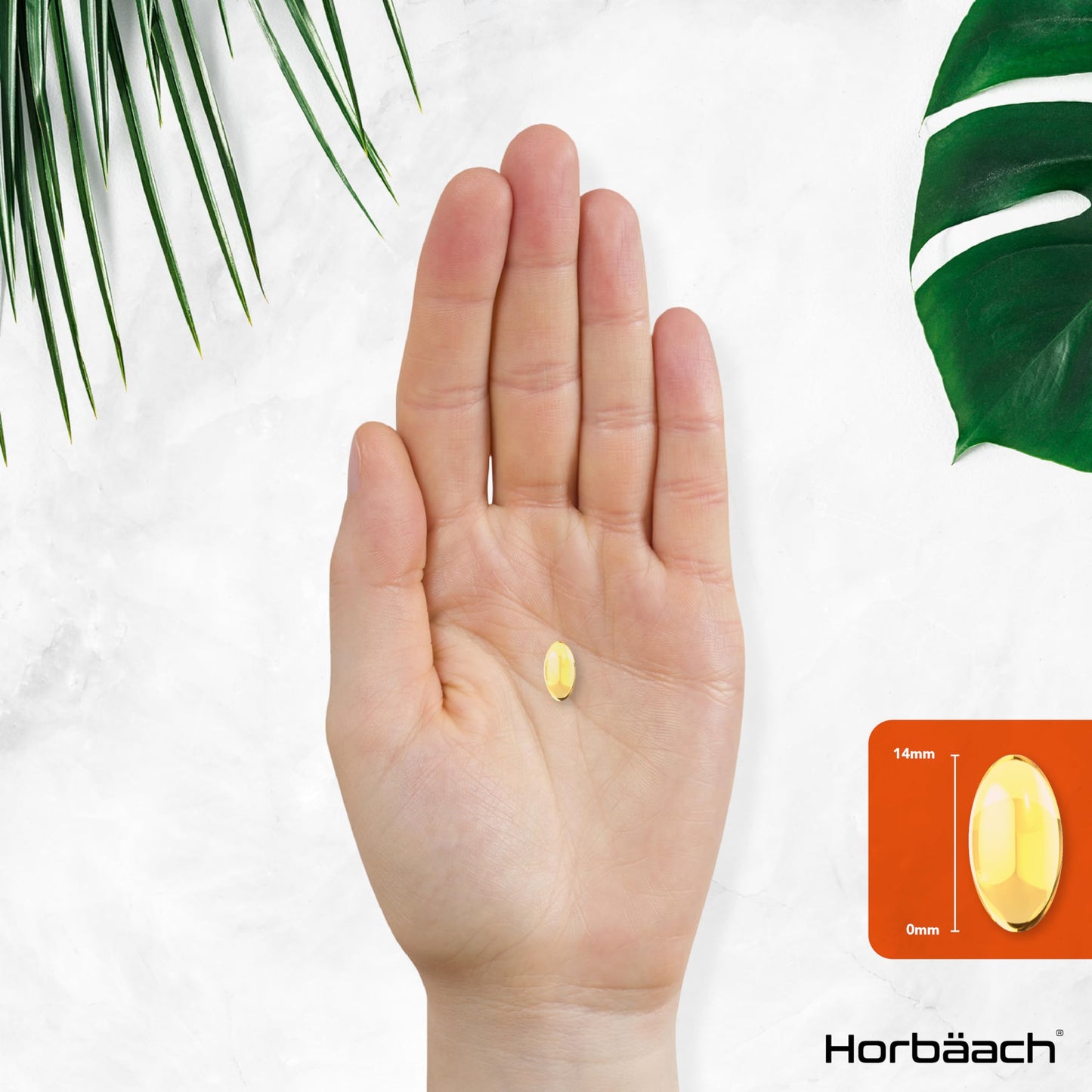 Vitamin A Capsules 10,000iu | 365 Count (1 Year Supply) | High Strength Vitamin A Supplem HorbäachBuy Supplements Australia