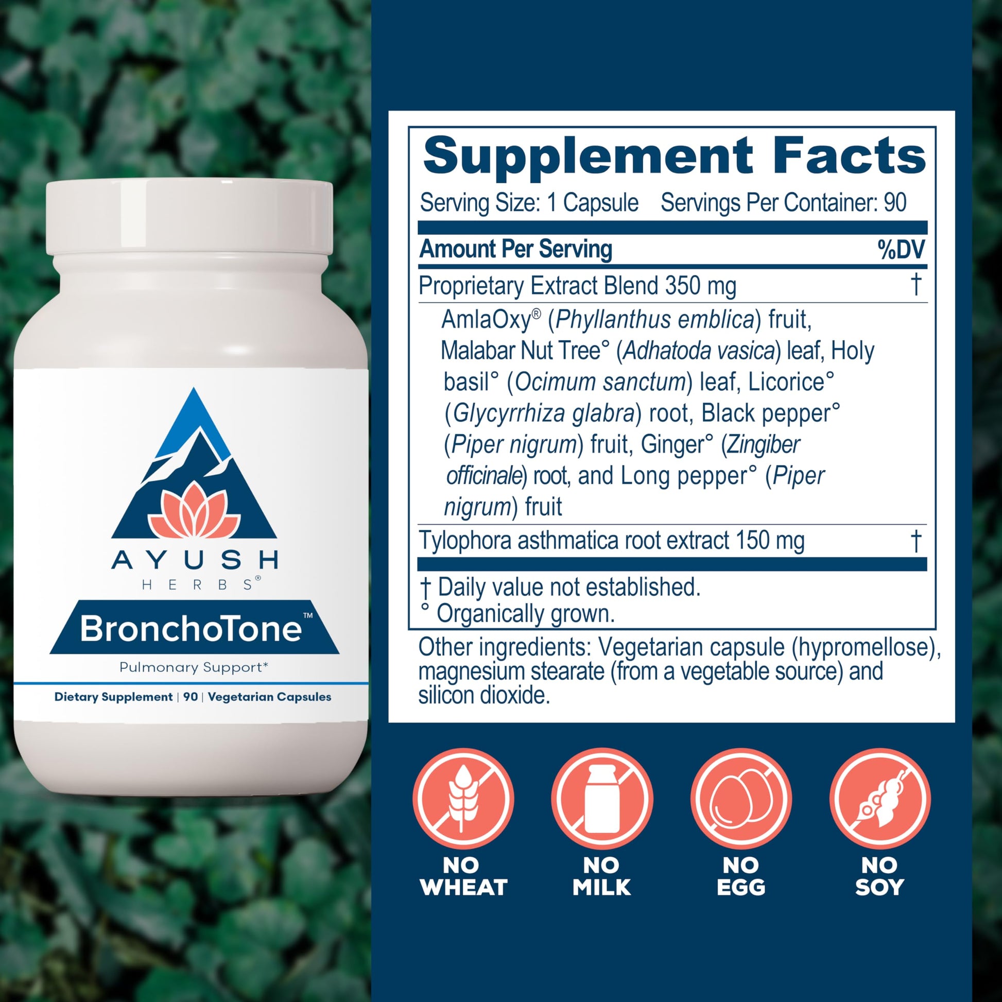 Ayush Herbs Bronchotone - Bronchial Support, Respiratory and Immune-Support Support Supplement for Women & Men, Adults, Pulmonary Care Supplement - 90 Vegetarian Capsules (1 Count) Ayush HerbsBuy Supplements Australia