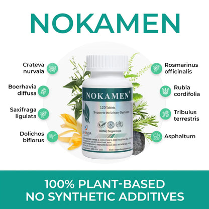 Ananta Medicare USA NOKAMEN – Kidney & Urinary Tract Support Herbal Formula, 120 Tabs Ananta Medicare USABuy Supplements Australia