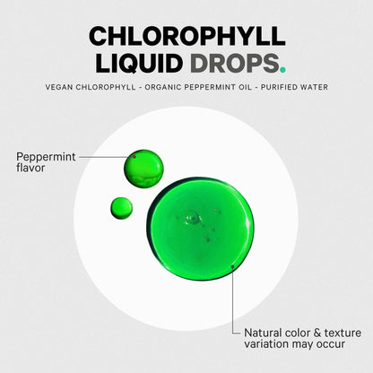 Codeage Chlorophyll Liquid Drops Supplement - Vegan Chlorophyll 50 mg per Serving, Organic Peppermint Flavor Clorofila Drink - Non-GMO, Gluten-Free, Vegan - 2 fl oz CodeageBuy Supplements Australia