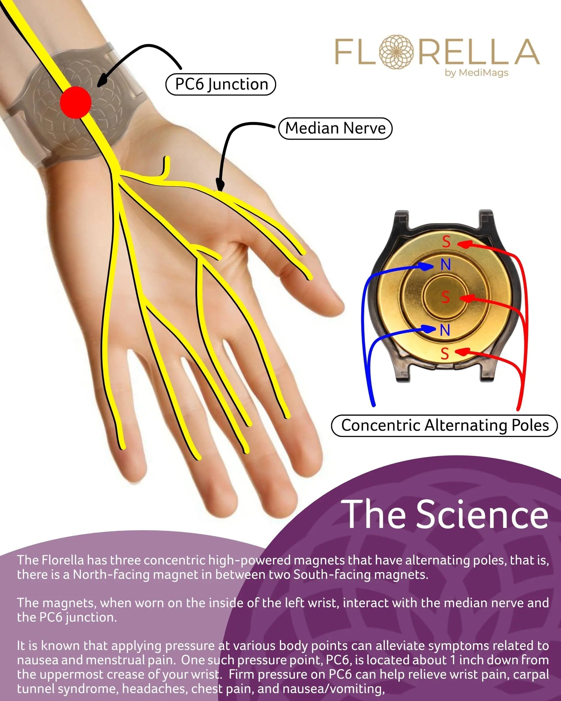 MediMags Period Pain Relief Device - Clinically Proven, All Natural Relief for A Life On The Go - The Florella Therapeutic Device Helps Alleviate The Pain from Menstrual Cramps. FlorellaBuy Supplements Australia