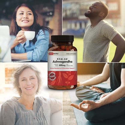 DailyNutra KSM-66 Ashwagandha 600mg Organic Root Extract - High Potency Supplement DailyNutraBuy Supplements Australia
