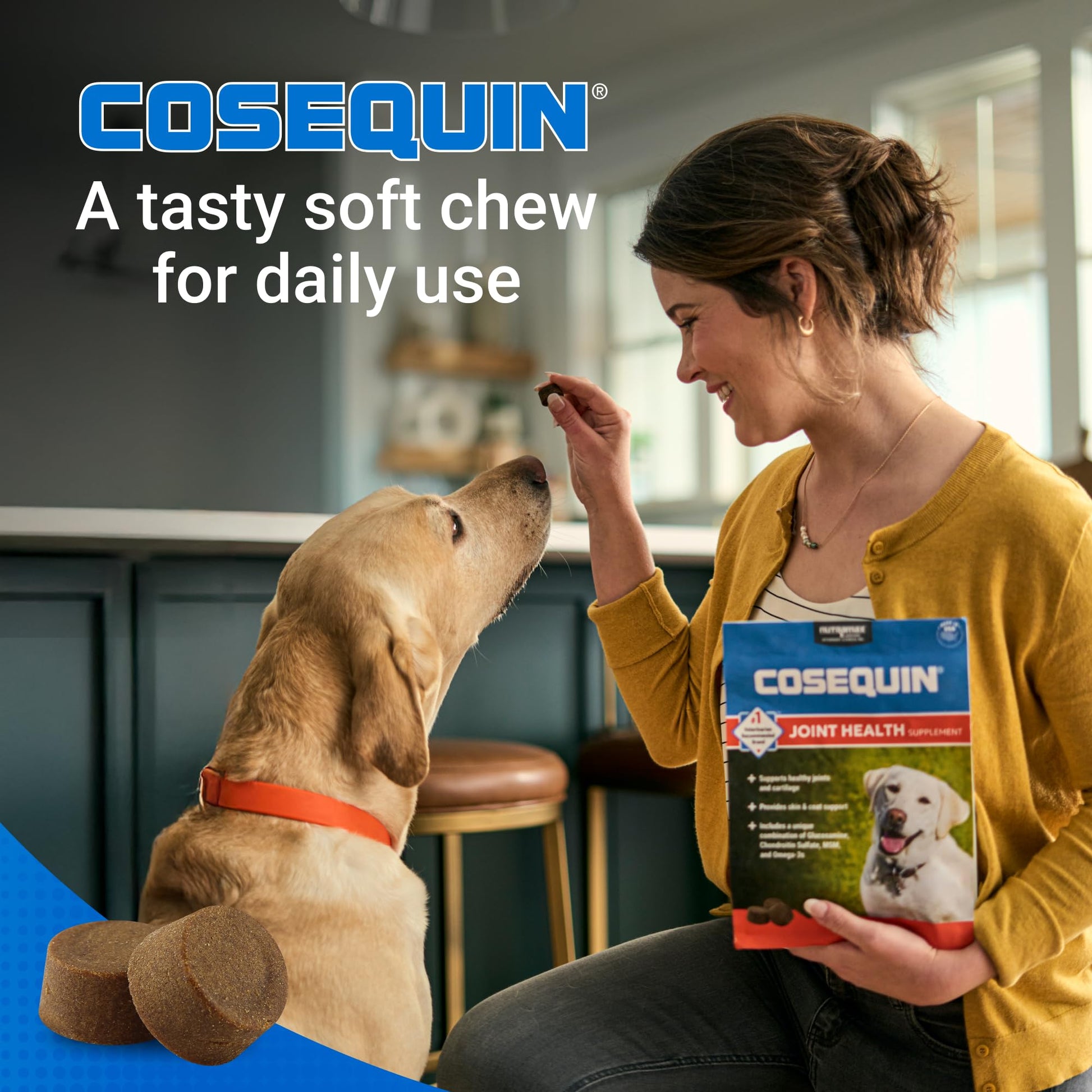 Nutramax Cosequin for Dogs Joint Health Supplement, Contains Glucosamine, Plus Chondroitin, MSM and Omega-3s, Supports Joint and Skin and Coat Health, Soft Chews, 120 Count Nutramax LaboratoriesBuy Supplements Australia