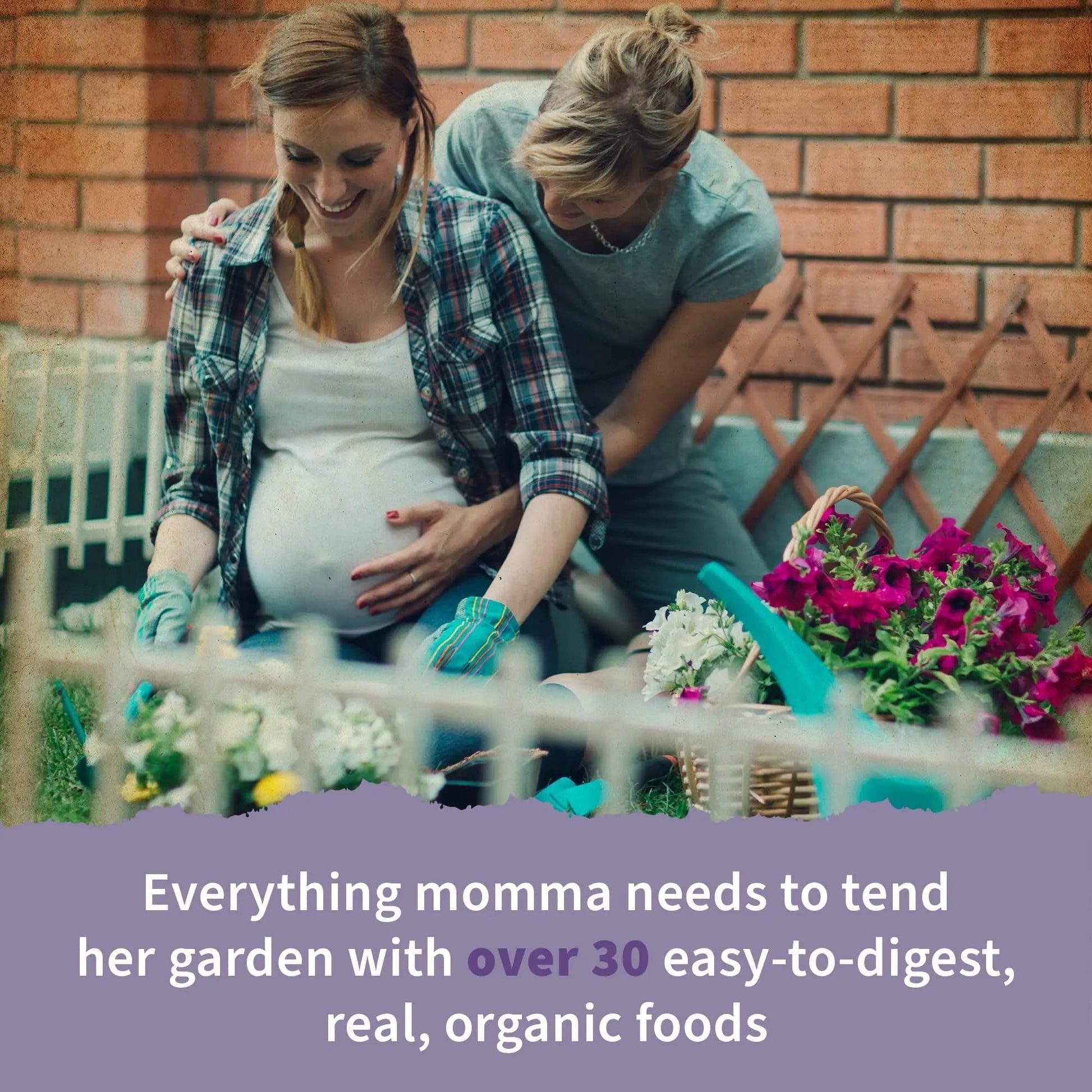 Garden of Life Organics Women’s Prenatal Multivitamin with Vitamin D3, B6, B12, C & Iron, Folate for Energy & Healthy Fetal Development – Organic Garden of LifeBuy Supplements Australia