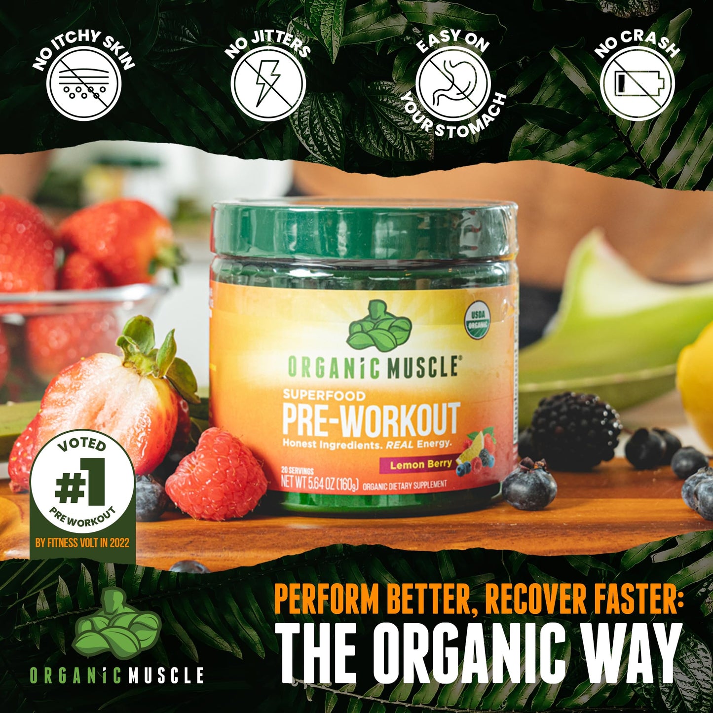 Organic Muscle Superfood Pre Workout Powder for Men & Women, Lemon Berry Organic MuscleBuy Supplements Australia