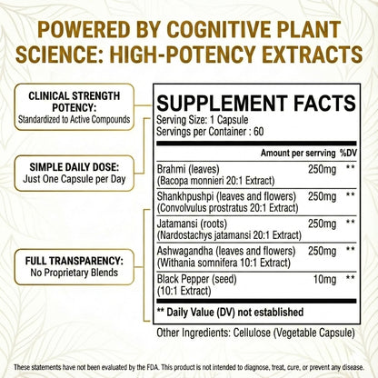 Pure Prana Ayurvedic Brain Supplement Capsules with Brahmi, Ashwagandha & Gotu Kola - Plant-Based Nootropic Cognitive Wellness Formula for Daily Focus - Vegan Clarity for Men Women - 60 Capsules Pure PranaBuy Supplements Australia