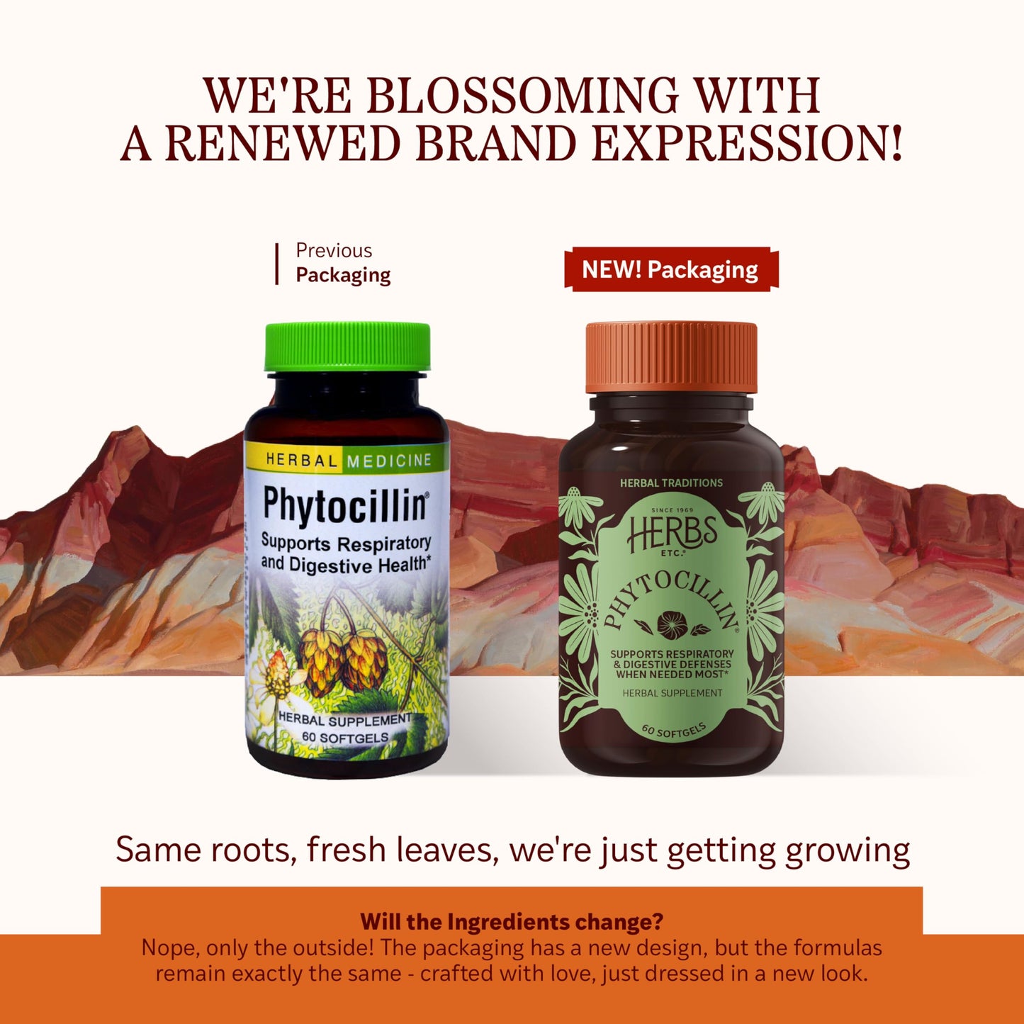 Herbs Etc. Phytocillin - Respiratory & Digestive Health Support Supplement - Herbal Formula to Support Digestion - Support Healthy Breathing - 60 Softgels (60 Servings) Herbs Etc.Buy Supplements Australia