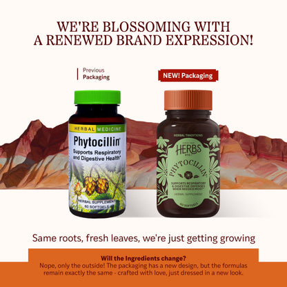 Herbs Etc. Phytocillin - Respiratory & Digestive Health Support Supplement - Herbal Formula to Support Digestion - Support Healthy Breathing - 60 Softgels (60 Servings) Herbs Etc.Buy Supplements Australia