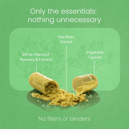 Sea Moss, Black Seed Oil, Bladderwrack, Turmeric, Ashwagandha, Burdock, Vitamin C, D3, Yellow Dock Root, Manuka, Dandelion - 90 Veggie caps NaturaLife LabsBuy Supplements Australia