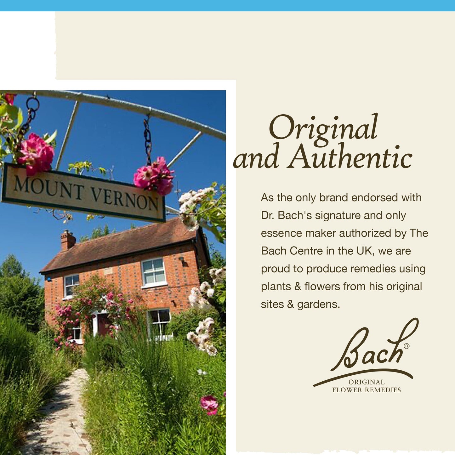 Bach Original Flower Remedies, Rock Water for Flexibility, Natural Homeopathic Flower Essence BachBuy Supplements Australia