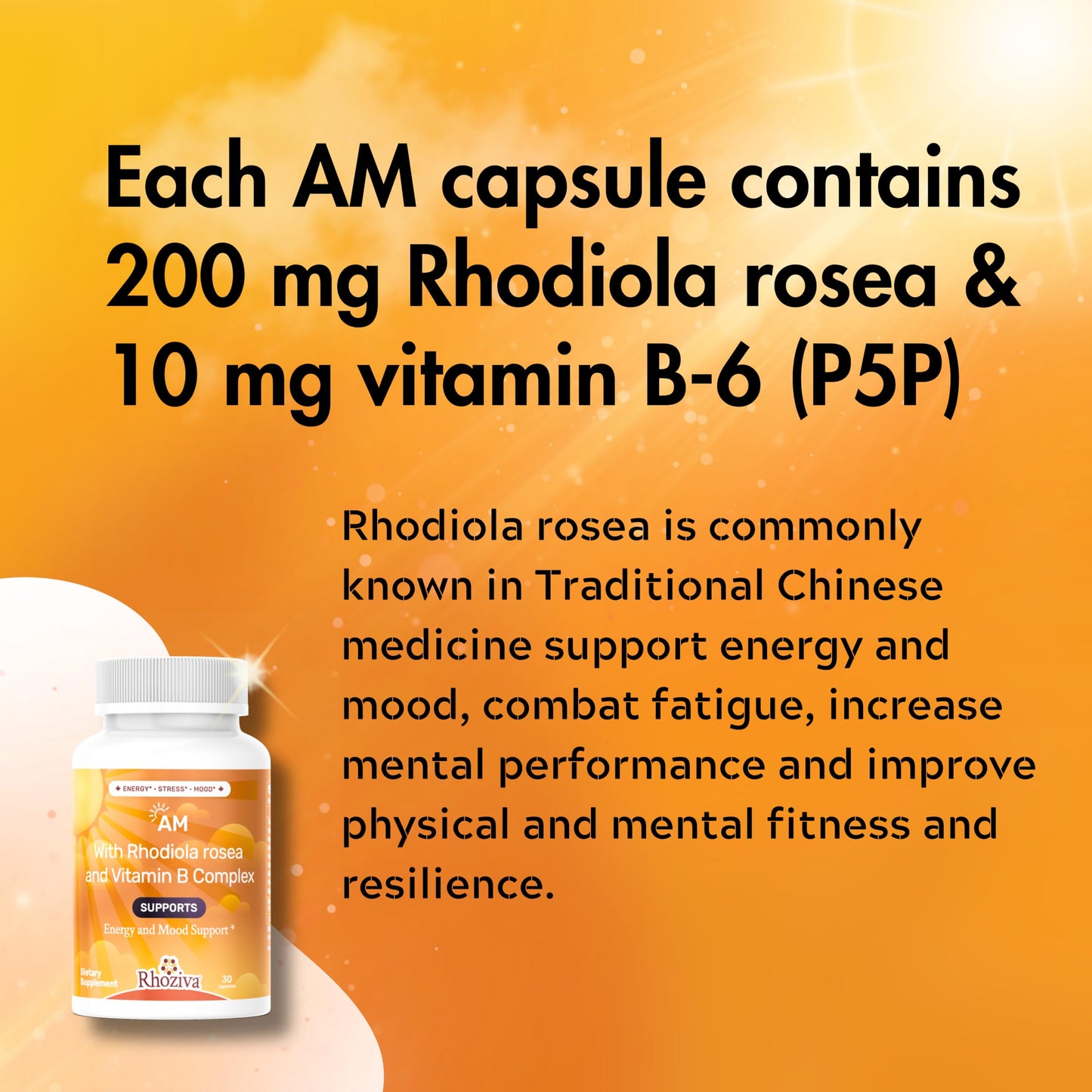 AM PM Multivitamin - Cortisol Supplements for Women and Men with L-Theanine, Ashwagandha - Rhodiola Rosea Supplement 200mg - Vitamin B Complex - Nootropics - Day and Night Vitamins for Women & Men RhozivaBuy Supplements Australia