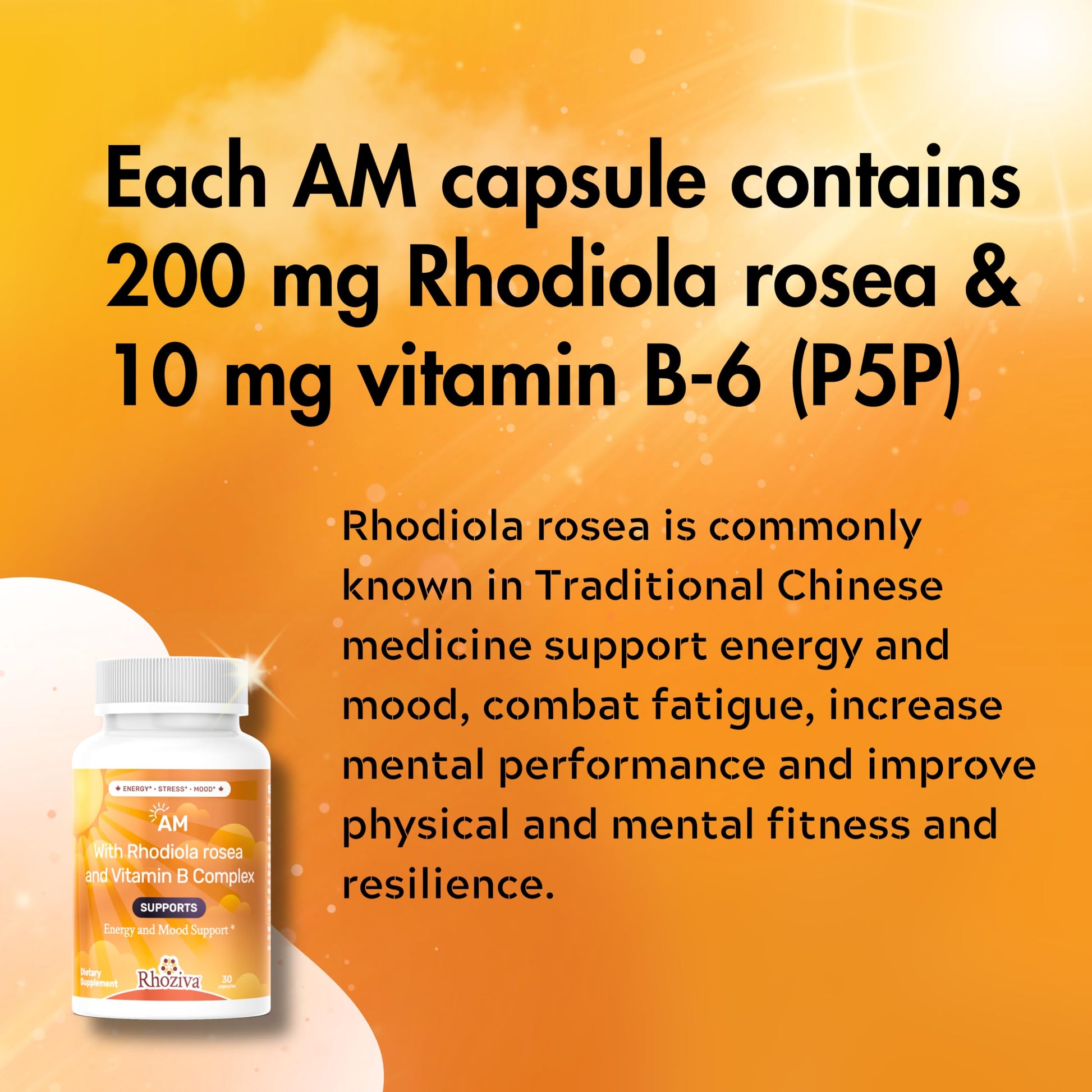 AM PM Multivitamin - Cortisol Supplements for Women and Men with L-Theanine, Ashwagandha - Rhodiola Rosea Supplement 200mg - Vitamin B Complex - Nootropics - Day and Night Vitamins for Women & Men RhozivaBuy Supplements Australia