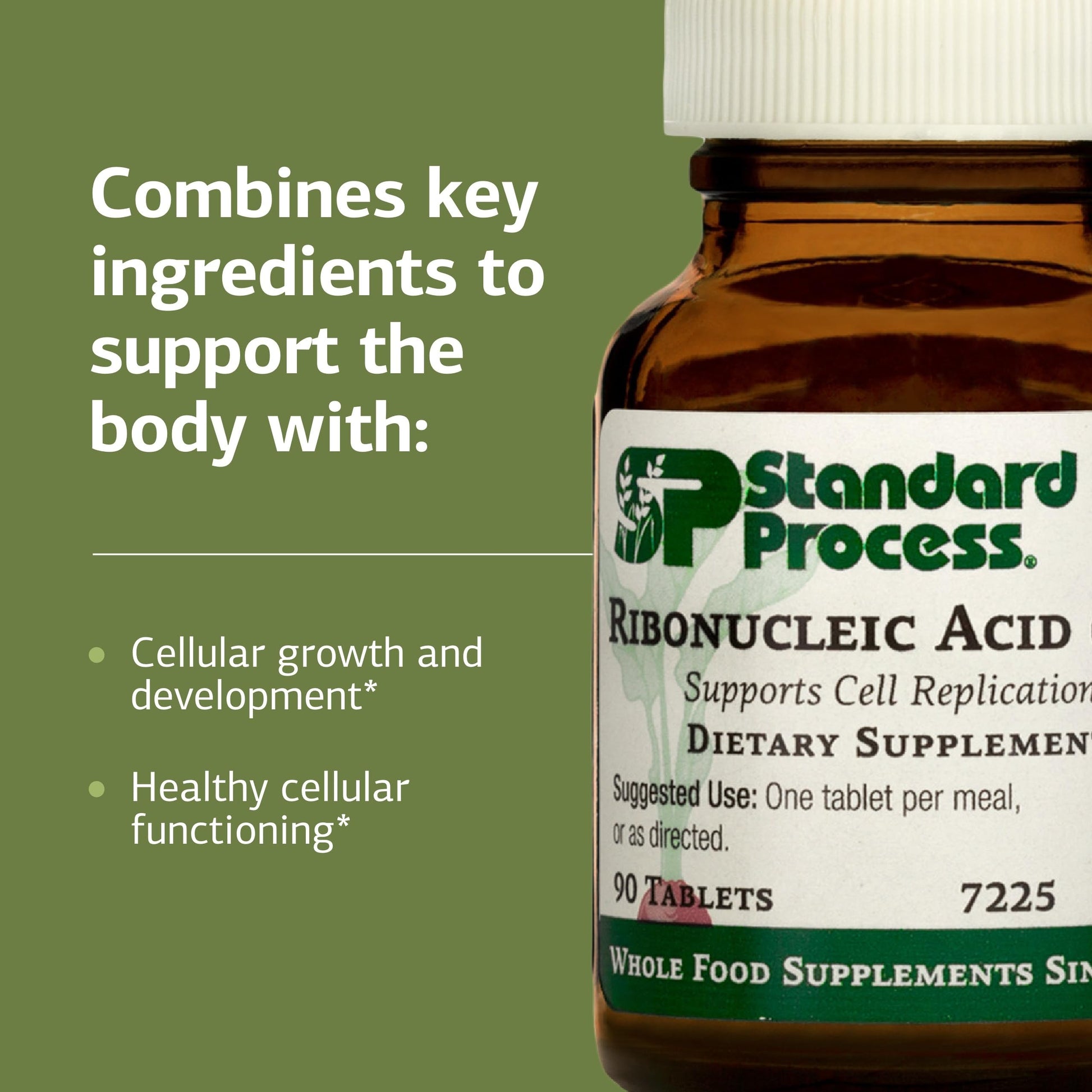 Standard Process Ribonucleic Acid RNA - Cell Development Support - Aids Protein Synthesis - Vegan, Gluten-Free, Non-Soy, & Non-Grain - 90 Tablets (90 Servings) Standard Process Inc.Buy Supplements Australia